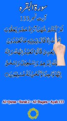Al-Quran - Surah 2 - Al-Baqara - Ayah 133 | hafiz salman ali