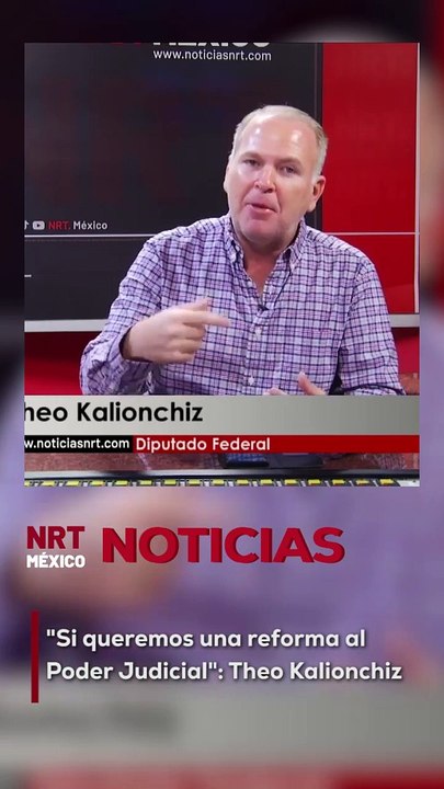 "Si queremos una reforma al Poder Judicial": Theo Kalionchiz