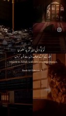 Allah pak SE saf Dil SE Toba kro !!