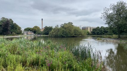 Uncertain future for Newcastle’s parks