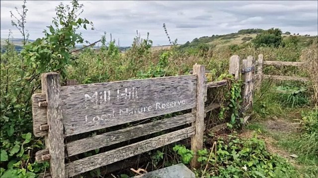 See the extensive views from Mill Hill Local Nature Reserve to the sea and the South Downs National Park