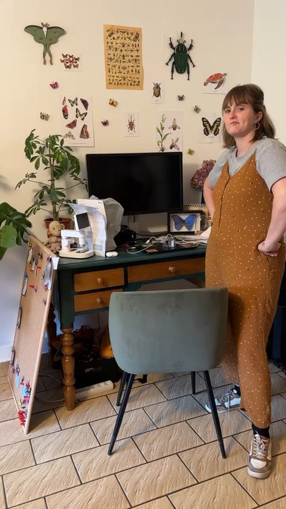 Nouvelle déco 
