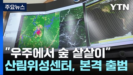 "우주에서 숲 샅샅이"...산림위성센터, 본격 출범 / YTN