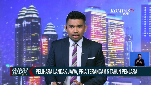 Kata Pakar Hukum soal Warga Badung Bali Didakwa 5 Tahun Penjara Gara-Gara Pelihara Landak Jawa
