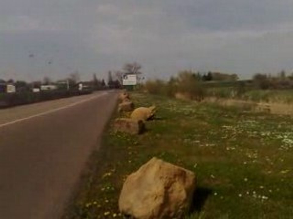 derbi mhr replica VS gpr mhr team