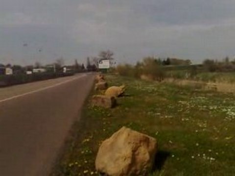 derbi mhr replica VS gpr mhr team