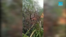 Así fue el incendio en Punta Lara