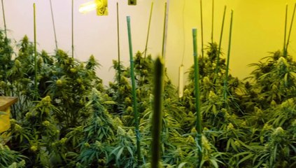 Police Interceptors S23E02 (9 September 2024)