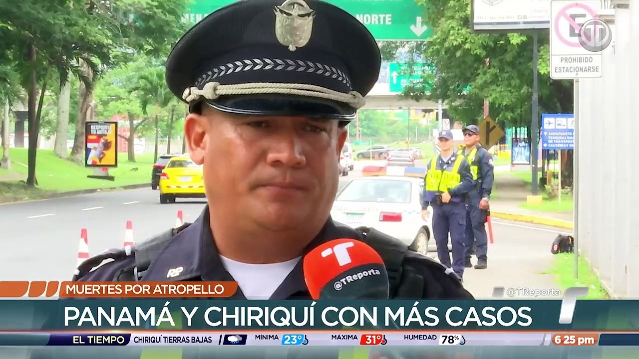 Muertes por atropello.mp4