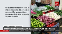 Inflación de agosto se estabiliza en 4.99% tras cinco meses de aumento continuo