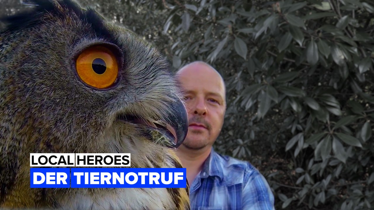 Der tiernotruf
