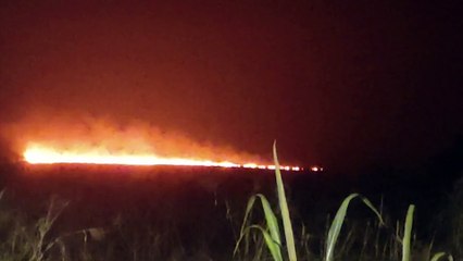 Incêndios simultâneos atingem área de vegetação às margens da PR-180