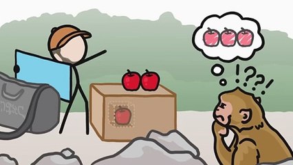 Why Monkeys Can Only Count To Four