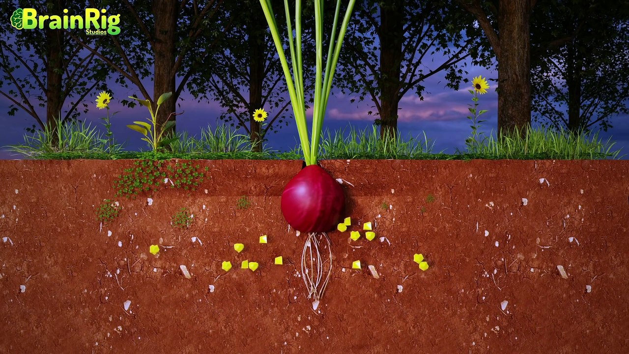 Why do onion make you cry ?? (3D animation) प्याज काटते समय क्यों आते हैं आँसू?