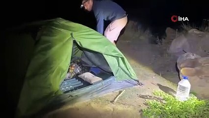 Polonyalı turist ayı saldırısından son anda kurtuldu