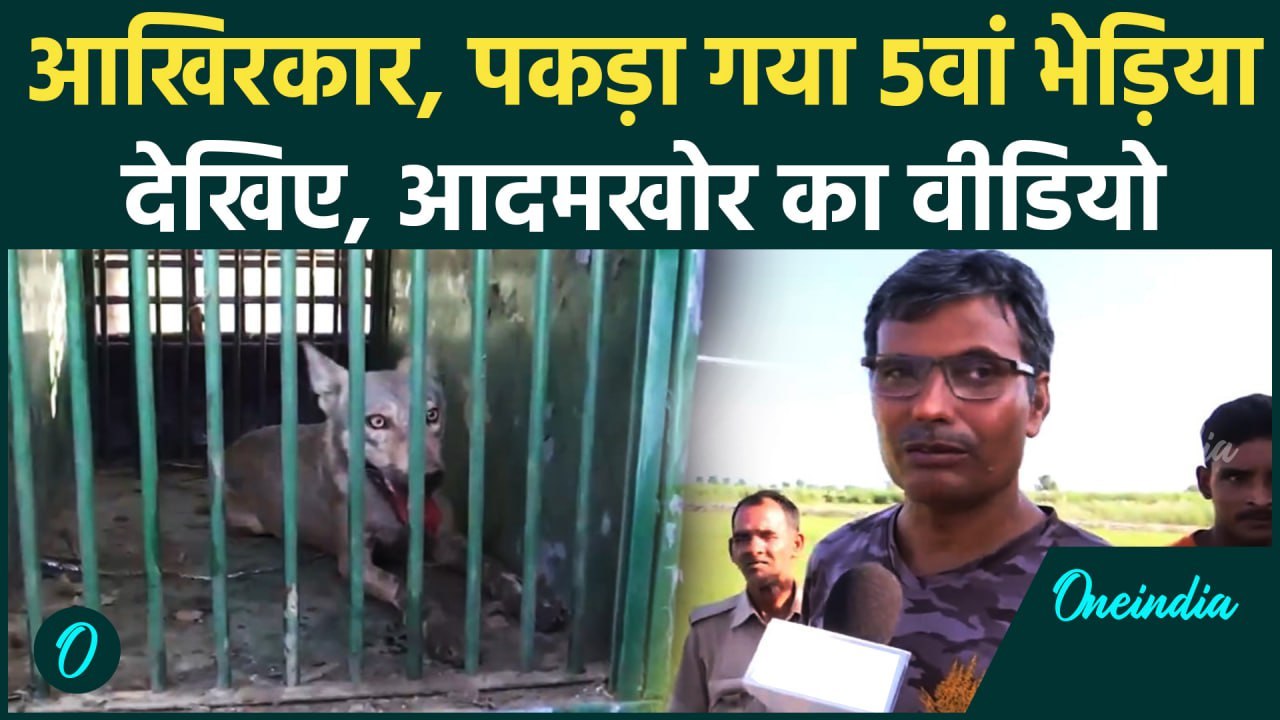 Bahraich Bhediya News: बहराइच में पकड़ा गया 5वां भेड़िया | UP News | CM Yogi| वनइंडिया हिंदी