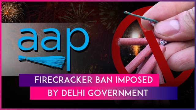 Winter Pollution: Delhi Government Bans Production, Sale & Use Of Firecrackers Till January 1, 2025
