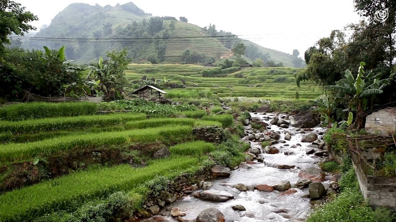 MUSIC - The sound of traditional Sundanese flute, with views of rice fields, mountains and rivers.