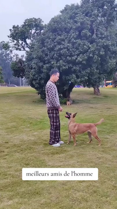 danse avec mon chien