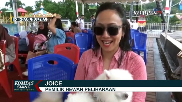 Antusiasme Pecinta Kucing dan Anjing Ikuti Kontes Hewan Kesayangan di Kendari