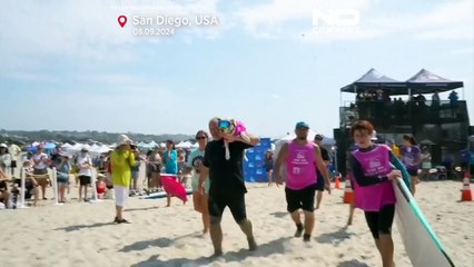 NO COMMENT: ¡Perros surferos! Cientos de mascotas se suben a las olas en Siego, California