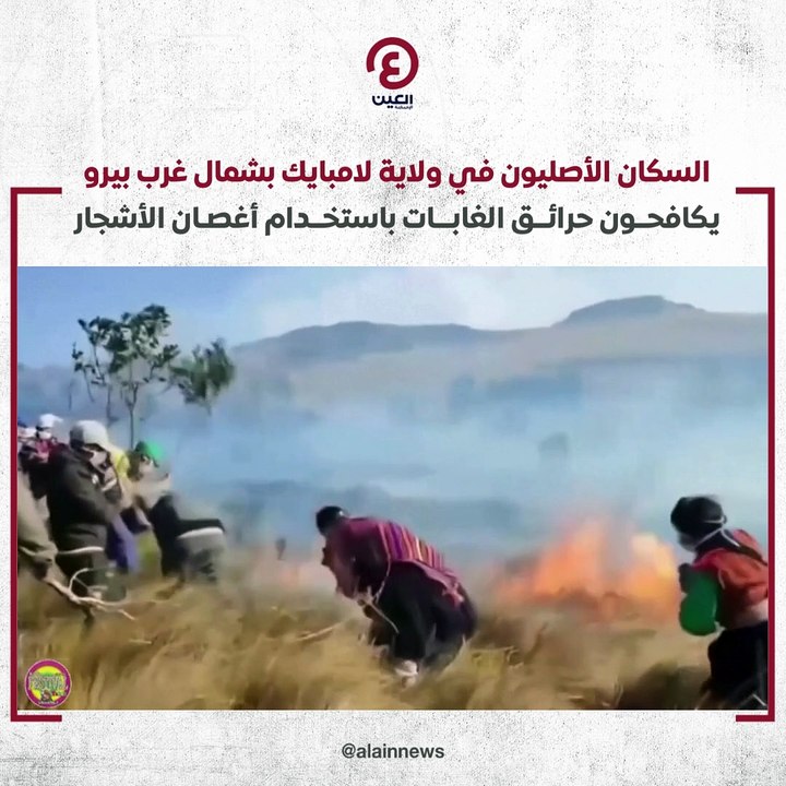 "أغصان" السكان الأصليين تكافح حرائق الغابات في...