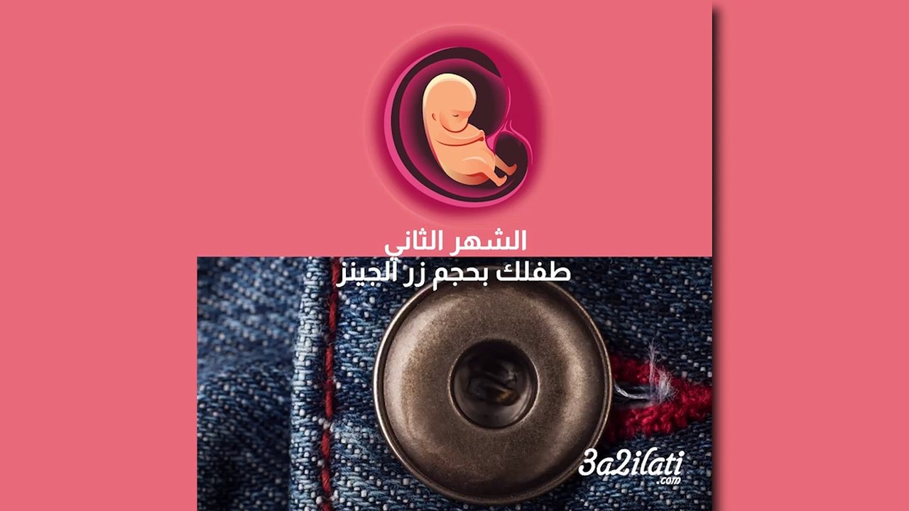 بالفيديو، حجم طفلك خلال الحمل مقارنة بأغراض البيت