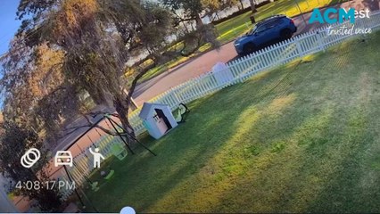 Doorbell camera catches man ripping down corflute