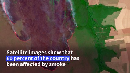 Brazil: Wildfires rage in the face of worst drought in 70 years