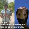 Binata, nakipag-mouth-to-mouth sa king cobra | GMA Integrated Newsfeed