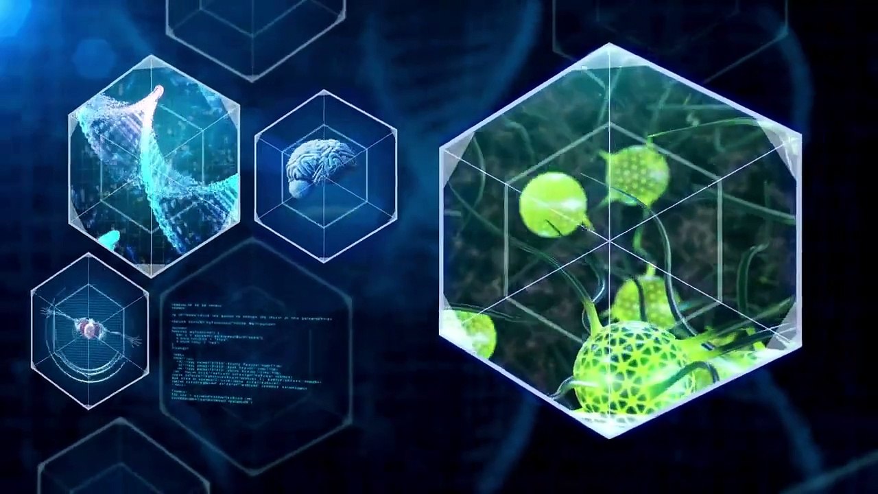 Unterschied zwischen Psychopathie & Soziopathie _ #injusticesurvivors