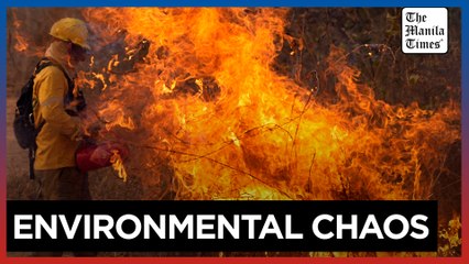 Amid the worst drought in Brazil history, wildfires rage and the Amazon falls to a record low level