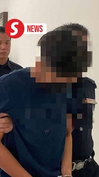 School bus driver charged in Muar for sexual offenses against children