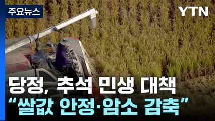 당정 "쌀값 조기 안정, 암소 감축"...추석 민생 총력전 / YTN