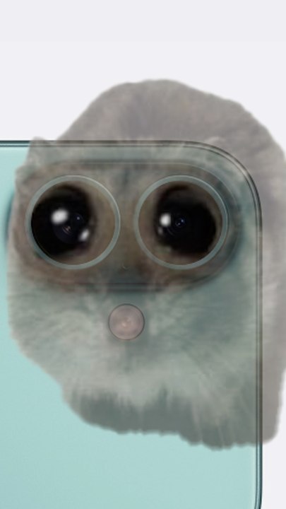 new iPhone 16 be like