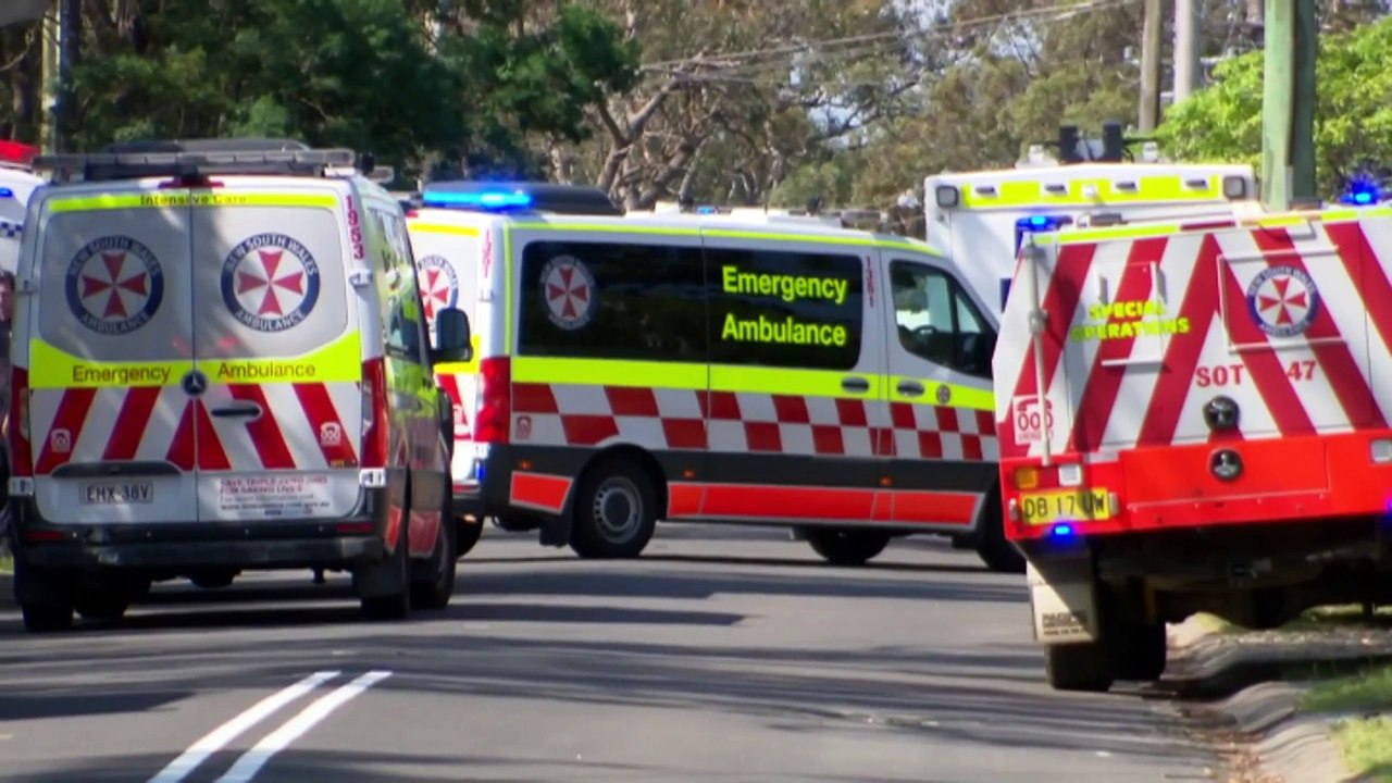 Two Blue Mountains children tragically killed