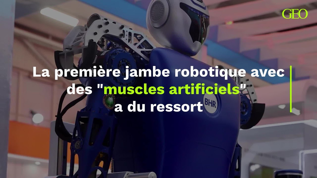 La première jambe robotique avec des "muscles artificiels" a du ressort