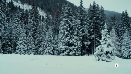 Vermiglio (Trailer ufficiale HD) ⭐️⭐️⭐️⭐️