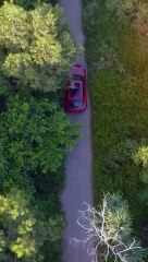 I will sho natural Beuty 