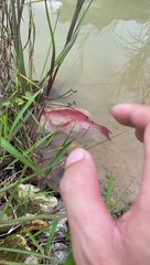 Islamic Video | Islamic Short  | Whatsapp Status