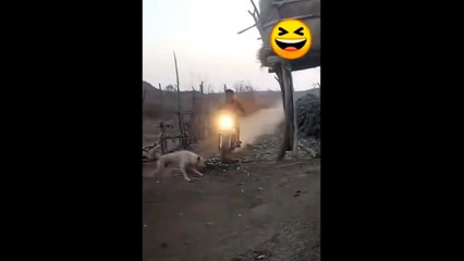 Dog Bike Funny Accident............ Try not to Laugh