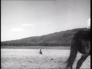 Fury E07-Joe und die Zigeuner