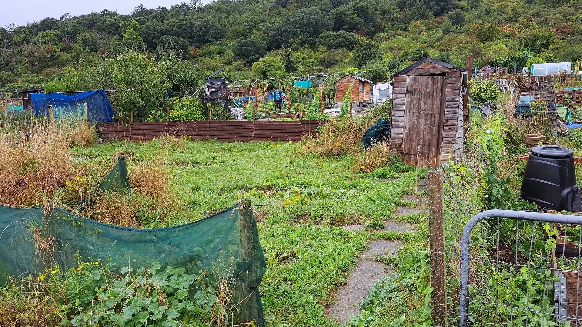 Dover allotment holders concerned about water supply