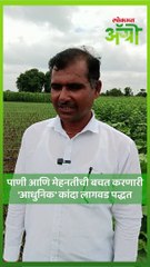 अल्प मेहनतीत व कमी पाण्यात अधिक उत्पादन देणारी 'कांदा' लागवड पद्धत