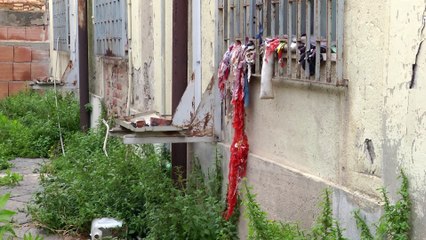 EX MACELLO, SCATTA L'OPERAZIONE PULIZIA DELLE AREE ESTERNE