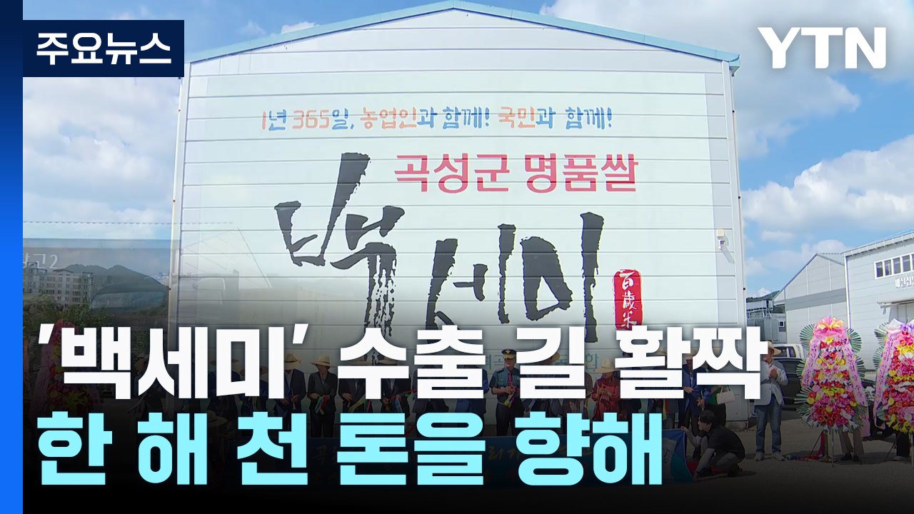 [네트워크] 전남 친환경 쌀 수출 길 '활짝'...한 해 천 톤을 향해 / YTN