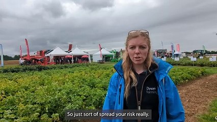 POTATO DAY VIDEO _ CARR _ with captions
