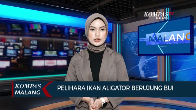Gegara Pelihara Ikan Aligator, Kakek di Kota Malang Dipenjara
