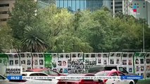 Las lluvias han favorecido la adaptación del ahuehuete de Paseo de la Reforma