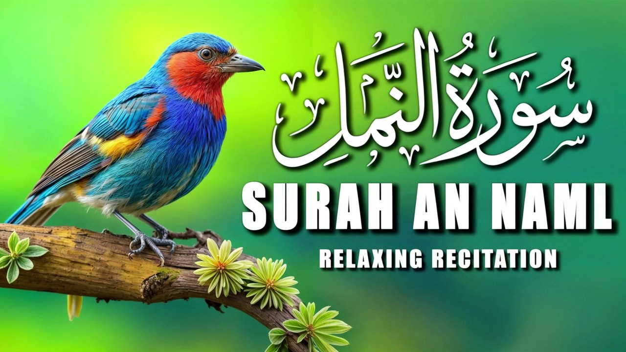 Surah An-Namal Full |سورة النمل| Relaxing and Heart Touching Recitation |Tilawat | Quran